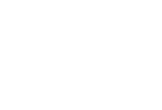 KONTAKT  Baumschule Hansjochen Ringel Steenwischtwiete 7 25488 Holm